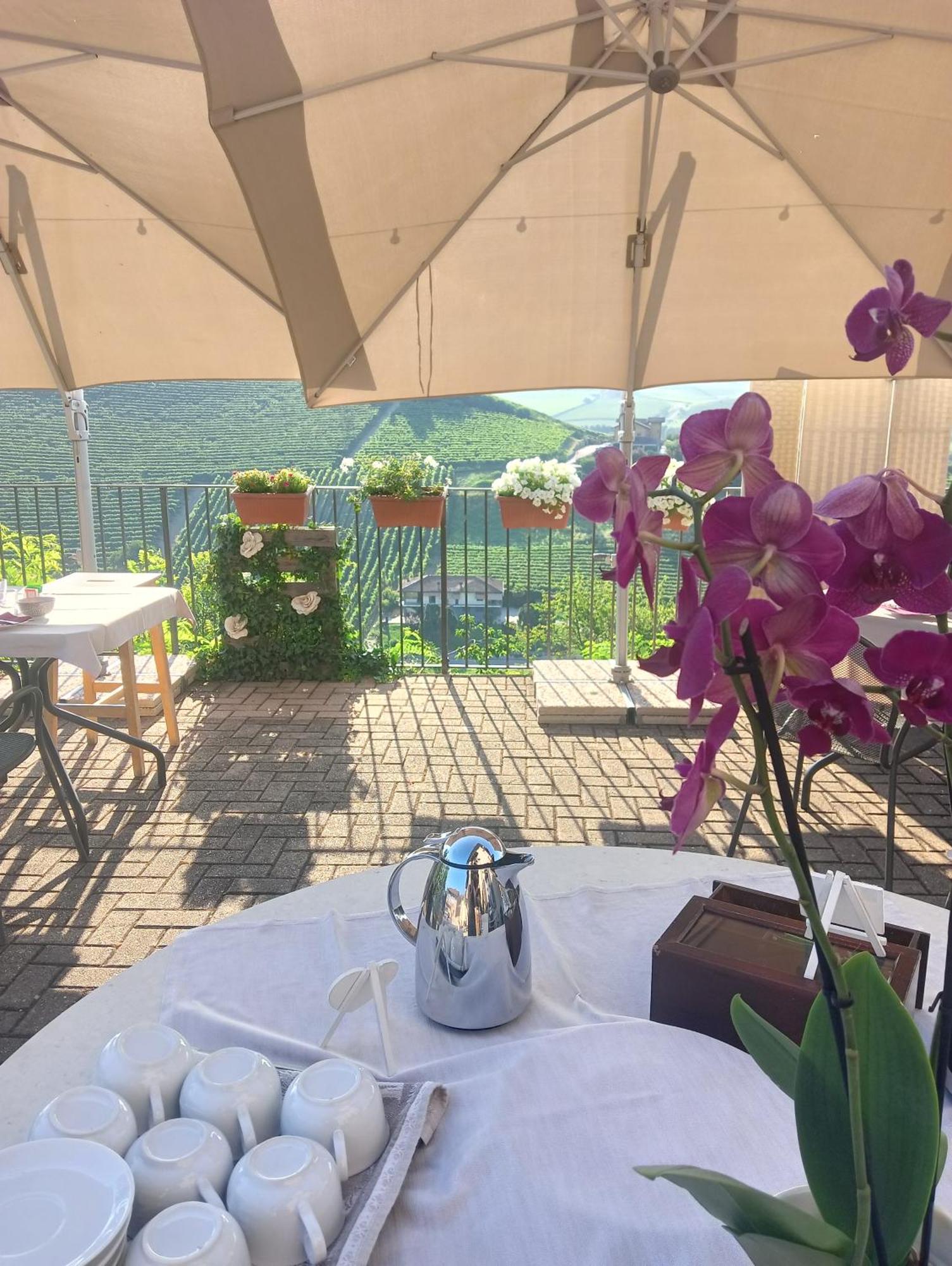 Il Borgo B&B Castellinaldo Luaran gambar